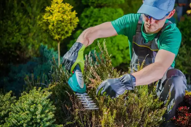 landscaping services Castleton-on-Hudson